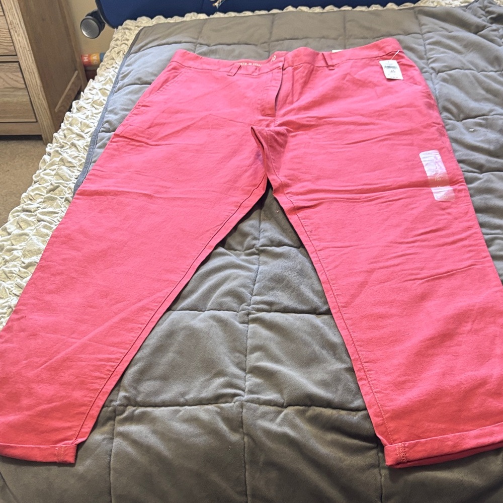 GAP Bright Pinkish  Casual Chino Pants